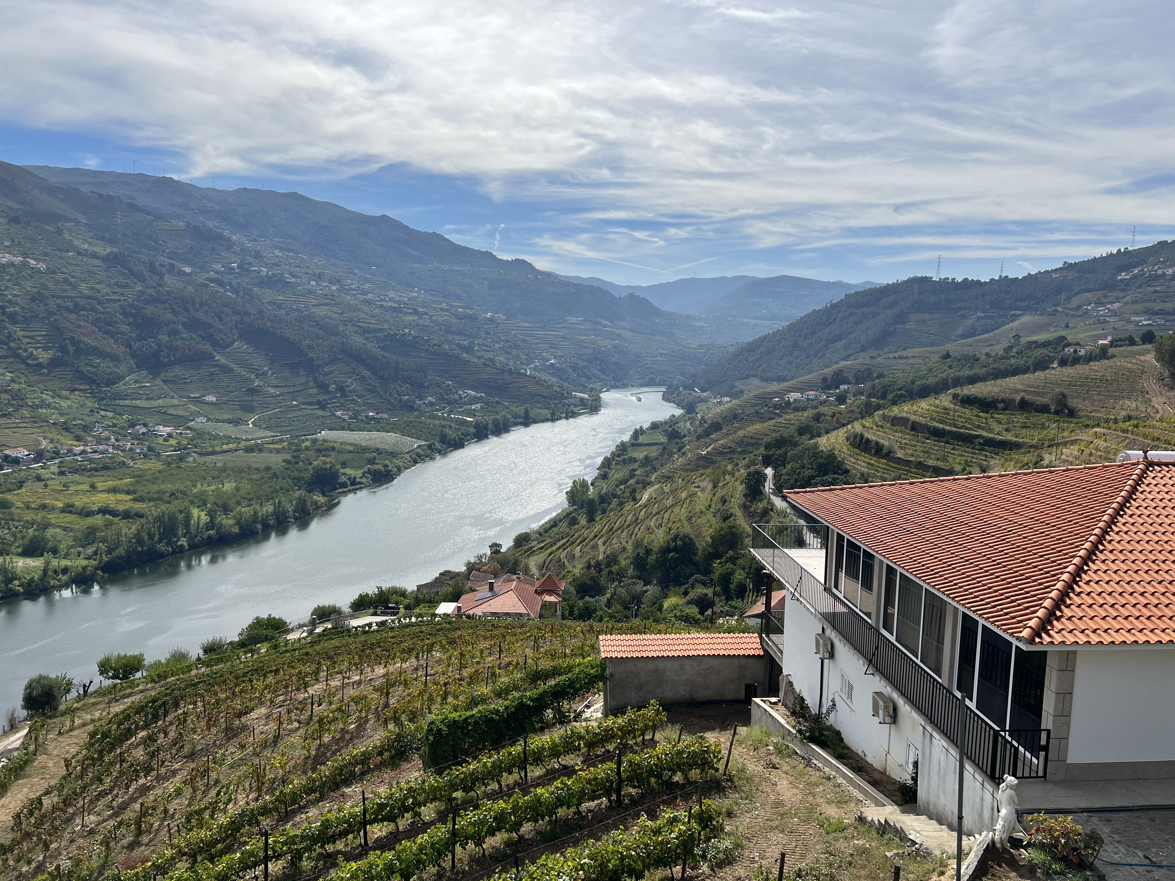 CatalystNeuro Team Retreat 2022: Uniting in Portugal's Douro Valley